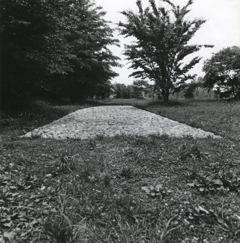 level 玉石 , Level Tamaishi , インスタレーション(石・地面)